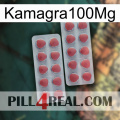 Kamagra100Mg 19